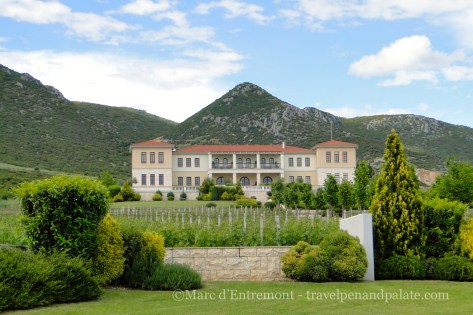 Ktima Biblia Chora vineyard on the slopes of Mt. Pangaion.