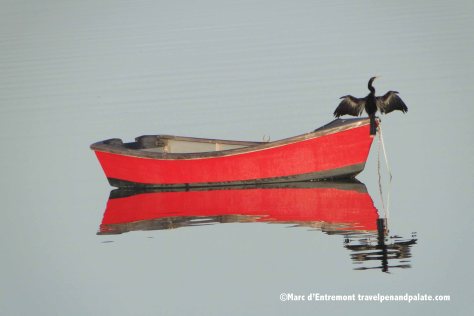 Dawn on Boca de Ciega Bay, St. Petersburg, FL