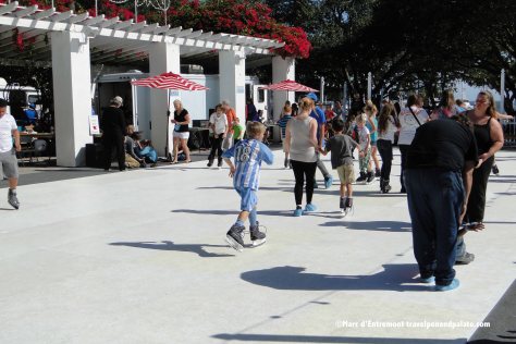 Snowfest 2015, St. Petersburg, FL