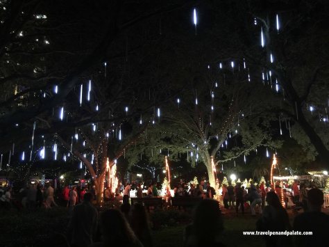 Christmas, North Straub Park, St. Petersburg, FL