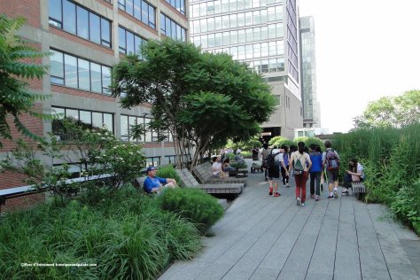 High Line, NYC