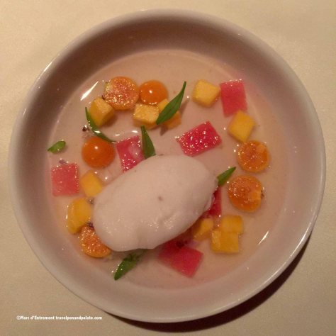 Verbana water, lavender flowers, tarragon, tropical fruit and guanabanas sorbet 