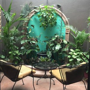 A private guest room garden Hotel Grano de Oro