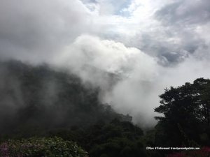 Cloud Forest, Costa Rica