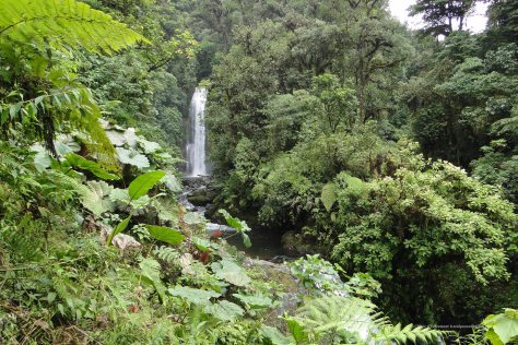 La Paz Waterfall Gardens at Peace Lodge