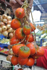 pejibaye on the vine